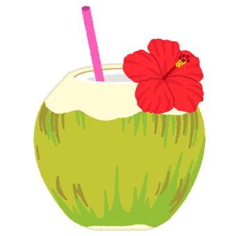 Illustration, coconut juice, palm fruit, drink, 