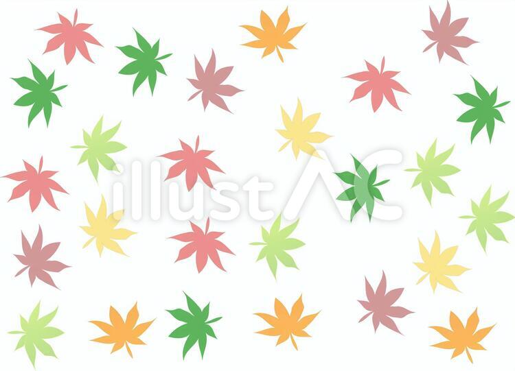   紅葉 紅葉,モミジ,楓のイラスト素材