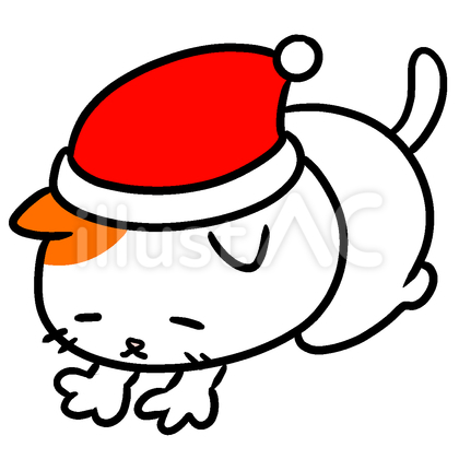 ねこ 土下座 帽子 三毛
