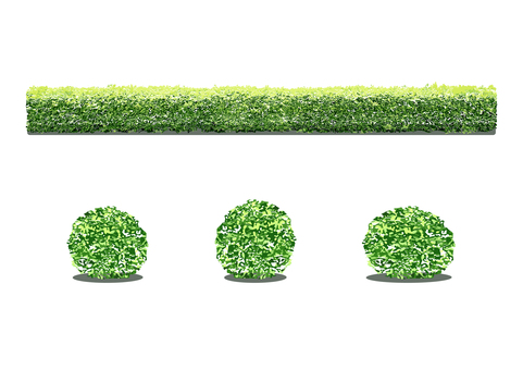 樹木の添景_58_シンプルな植栽の表現 生垣,垣根,庭木,植木,低木,造園,ガーデニング,エクステリア,外構,木のイラスト素材