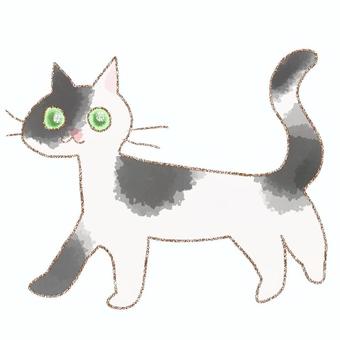しろくろねこ 猫,白黒,生き物,動物,水彩,鉛筆のイラスト素材