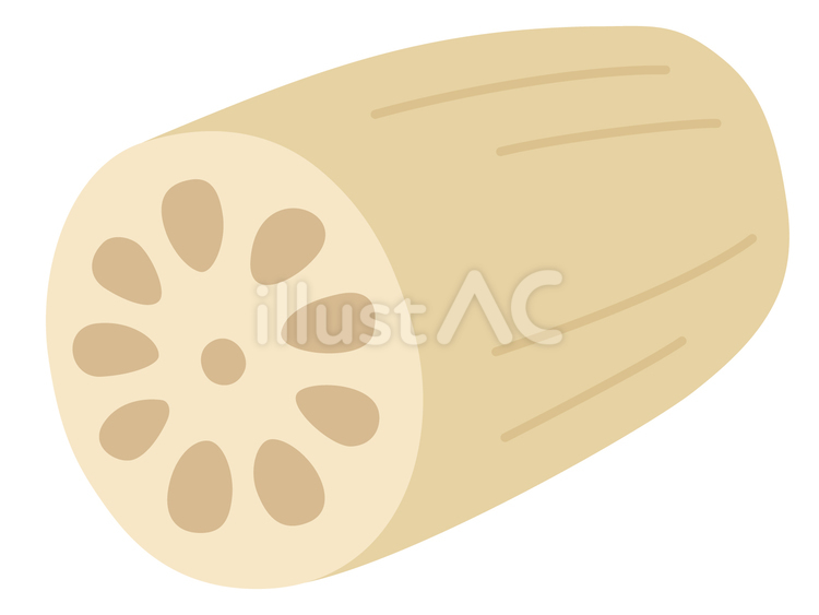 蓮根 蓮根,野菜,食品のイラスト素材
