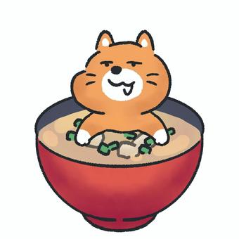 アメリカンポップ_和食_味噌汁 アメリカンポップ_和食_味噌汁 猫,動物,手描きのイラスト素材