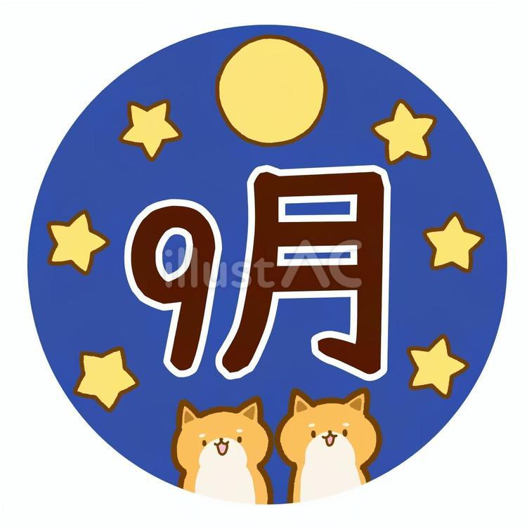 柴犬と星と月の9月 柴犬,犬,9月のイラスト素材
