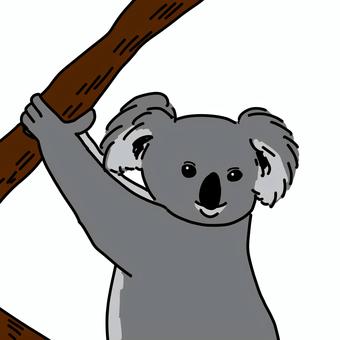 木に掴まっているコアラ コアラ,動物,かわいい,木,手描きのイラスト素材