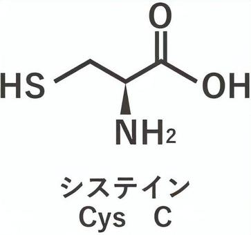 システイン アミノ酸,成分,構造式,化学式,栄養素のイラスト素材