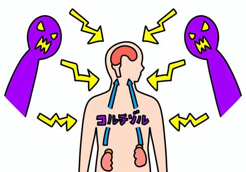 プレッシャーとコルチゾル分泌　カラー プレッシャー,ストレス,コルチゾル,ホルモン,副腎皮質,分泌,カラーのイラスト素材