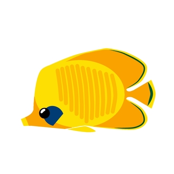 ゴールデンバタフライフィッシュ ゴールデンバタフライフィッシュ 魚,海,鑑賞魚のイラスト素材