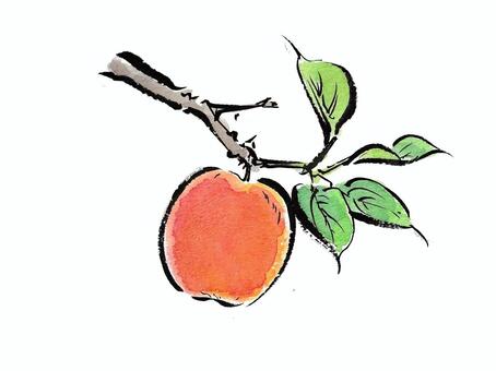 絵手紙風の木になる林檎 林檎,果物,食べ物,植物,果実,木の実,秋,10月,11月,葉のイラスト素材