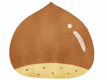 栗 栗,秋,食べ物,秋の味覚,木の実,甘栗,果物,フルーツ,植物,季節のイラスト素材