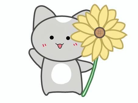 Cat with sunflower, , JPG and PNG