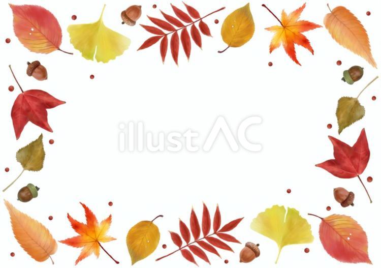 紅葉のフレーム　上下左右 紅葉,落ち葉,フレームのイラスト素材