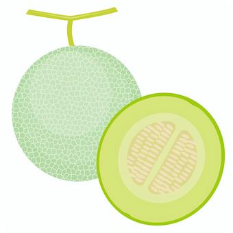 マスクメロン メロン,マスクメロン,果物,網目,瓜科,甘い,断面,ジューシー,種,新鮮のイラスト素材