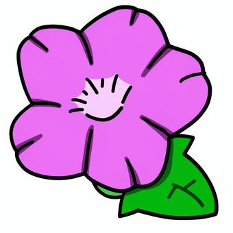 アサガオ アサガオ,紫,手描き,シンプル,アイコン,ワンポイント,挿絵,白背景,背景透過のイラスト素材