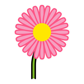 ヒナギク ヒナギク,ピンク,黄色,茎,花びらのイラスト素材