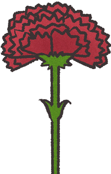 Carnation, 14 mai, simple, un sentiment, JPG and PNG