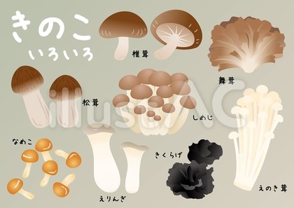 きのこイラスト
