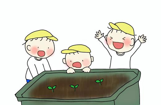 Illustration, cultivation, planter, child, 