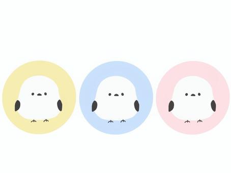 シマエナガ　アイコン シマエナガ,鳥,小鳥,かわいい,手書き,手描き,シンプル,アイコン,黄色,青のイラスト素材