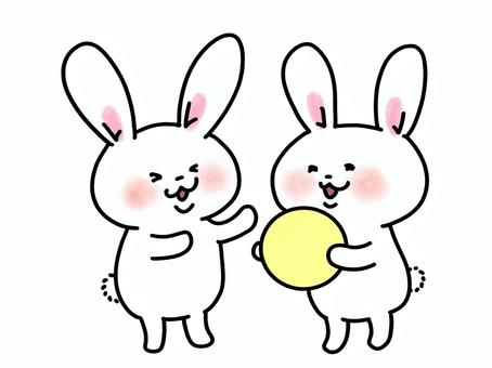 Illustration, rabbit, ball, play, 