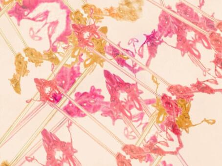 淡彩ステンドグラス-ピンク01 光,柔らかい,透明感,ステンドグラス,グラデーション,淡彩,風,空気感,背景,素材のイラスト素材