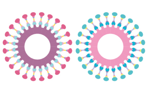 キテレツなブラシのフレームカード