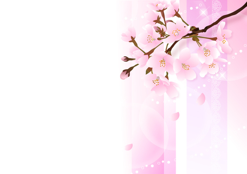 Sakura's illustration, cherry blossoms, frame, spring, JPG and AI