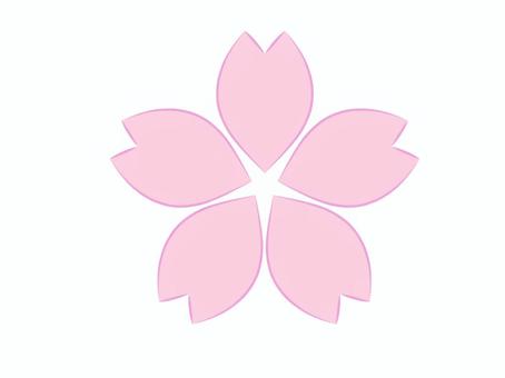 桜の花