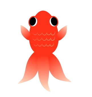 金魚 金魚 金魚,キンギョ,きんぎょのイラスト素材