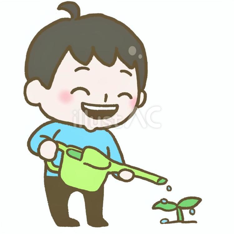 じょうろで双葉に水をあげる子ども こども,子ども,じょうろのイラスト素材