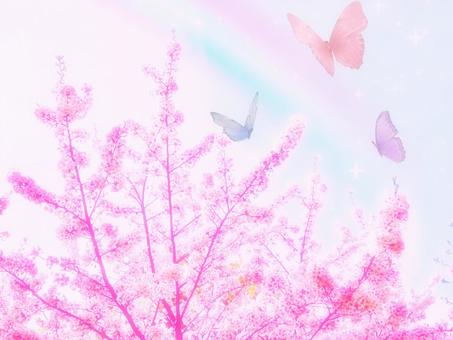 Illustration, cherry blossoms, butterfly, spring, 