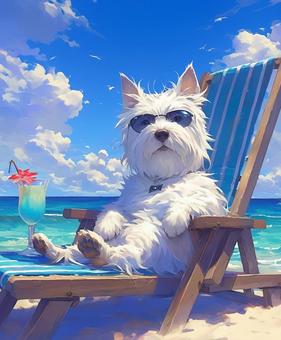 バカンス気分のテリア