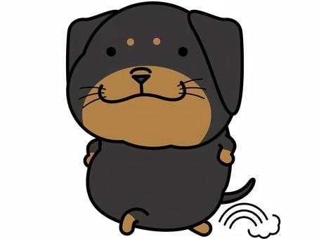 Dax skip, JPG, PNG and EPS Dax skip, skip, dachshund, cheerfulness, JPG, PNG and EPS