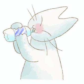 飲み物を飲む猫