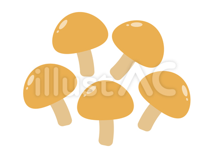 なめこ