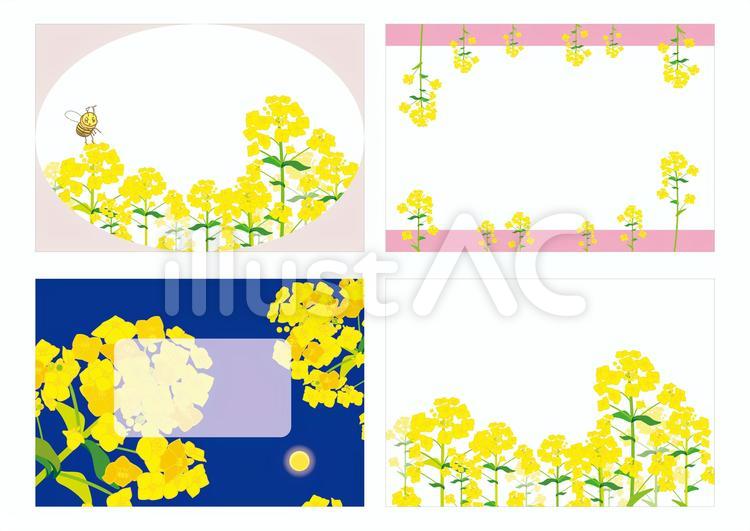菜の花景色 菜の花,春,植物のイラスト素材