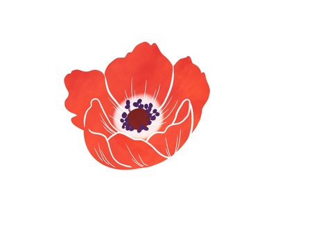 赤いアネモネ アネモネ,春,花,植物,シンプル,挿絵,かわいい,カットイラスト,素材,手描きのイラスト素材
