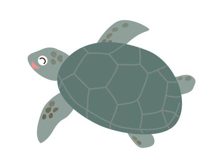 一隻綠海龜的插圖,側面帶著微笑 一隻綠海龜的插圖,側面帶著微笑