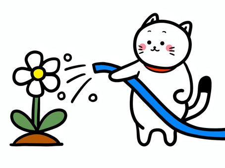 花に水やりする猫 猫,水やり,花,動物,植物,ゆるい,レトロ,ポップ,シンプル,フリーハンドのイラスト素材