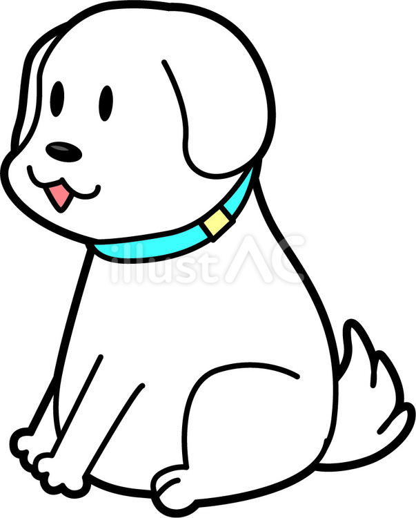 犬　 犬,お座り,白のイラスト素材