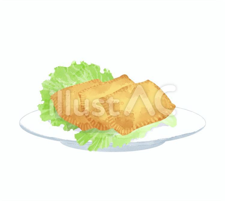 レタスが添えてあるパステウ ブラジル,ブラジル料理,パステウのイラスト素材