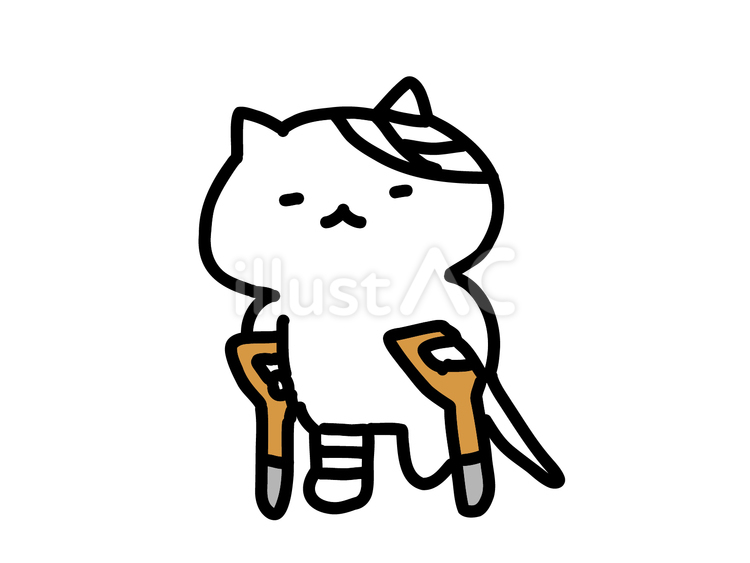 けがをした猫 猫,白猫,可愛いのイラスト素材