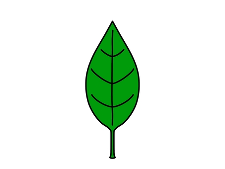 葉っぱ