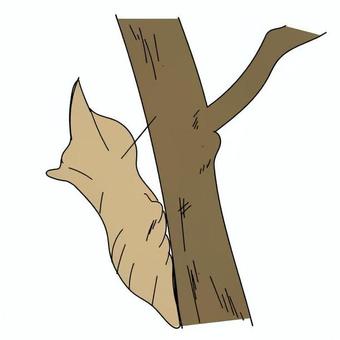 蝶のさなぎ 蝶,青虫,蛹,木,枝,休眠,薄茶色,茶色,ベージュ,自然のイラスト素材