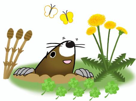 Spring mole _ Jingzhe _ early spring field, JPG and PNG Spring mole _ Jingzhe _ early spring field, a mole, dragon, early spring, JPG and PNG