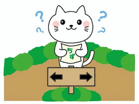 道に迷う猫　02 猫,迷う,迷子,悩む,地図,道,考える,不安,トラブル,方向音痴のイラスト素材