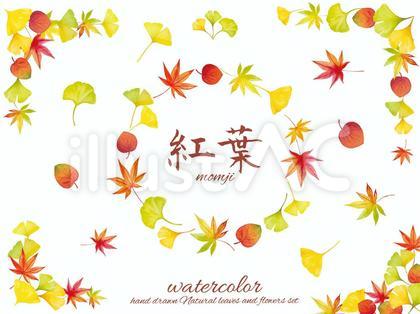 水彩手書き銀杏と紅葉モミジの葉フレーム