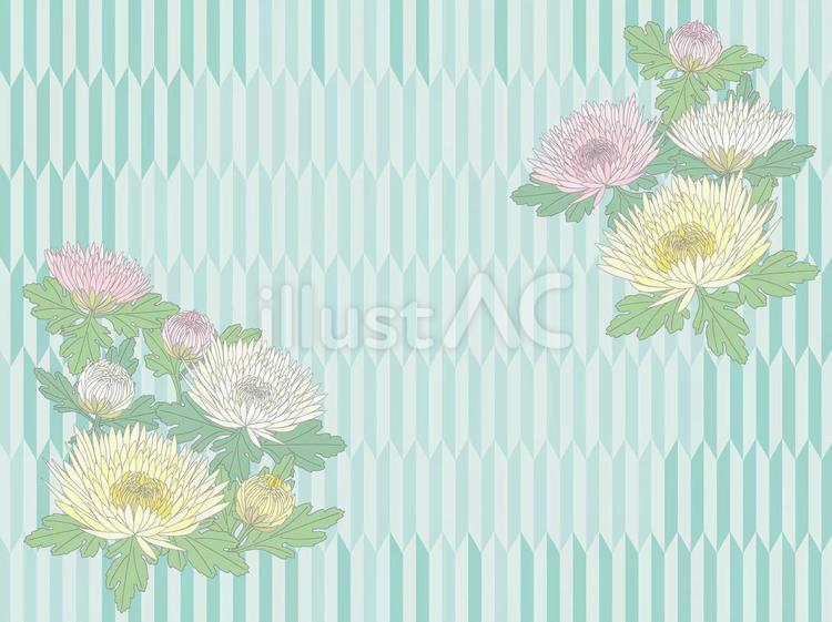 菊-矢絣-フレーム 菊,花,葉のイラスト素材