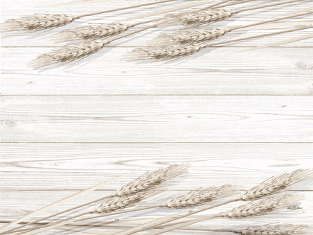 小麦色の麦穂と板の背景2　mugi003 麦穂,小麦色,リアル,ナチュラル,お洒落,自然,植物,大人っぽい,枠,背景のイラスト素材