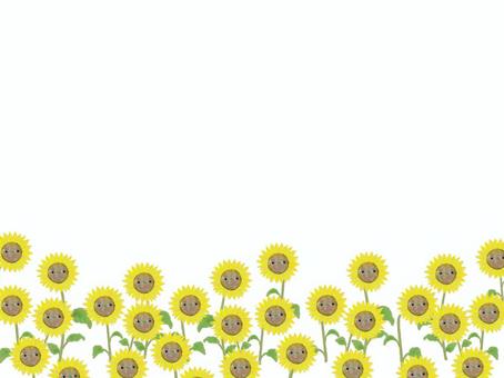 Sunflower face background, , JPG and PNG